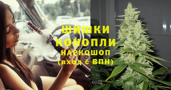 таблы Осинники