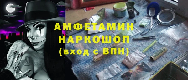 ГАЛЛЮЦИНОГЕННЫЕ ГРИБЫ Строитель